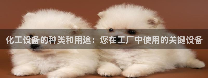 新航娱乐公司扣费流程详解表最新