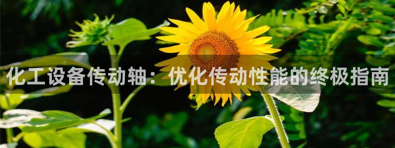 新航娱乐的创始人背景介绍