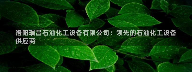 新航娱乐的创始人背景是什么