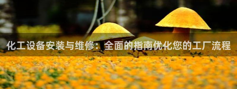 新航娱乐app官方免费下载