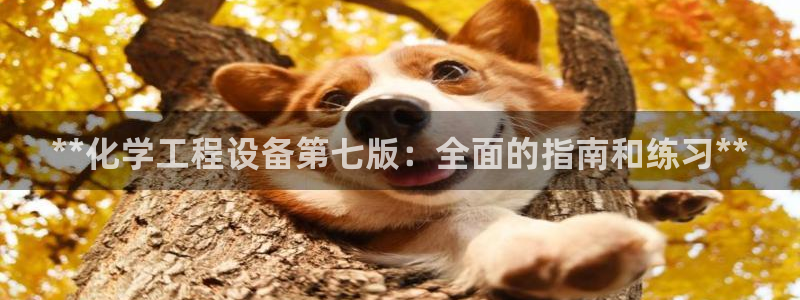 新航娱乐app官方免费下载安装