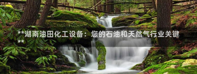 新航娱乐公司旗下艺人