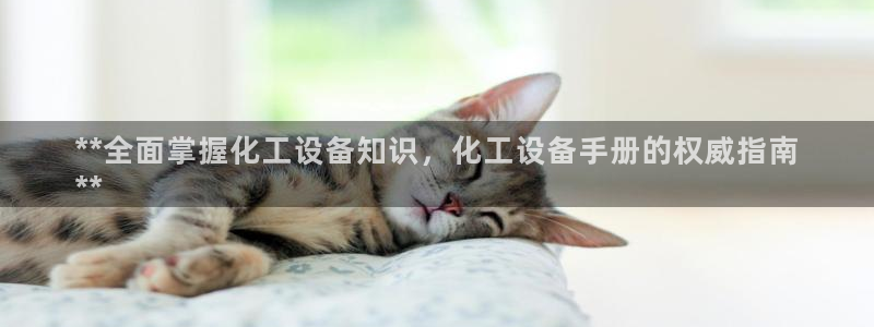 新航娱乐公司简介和历史背景介绍