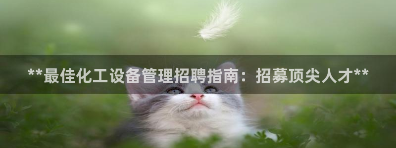 新航娱乐旗下艺人名单表