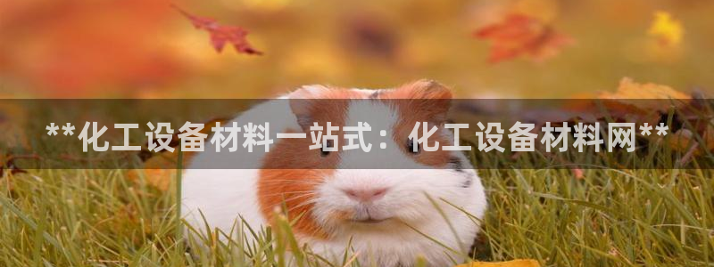 新航娱乐的创始人背景