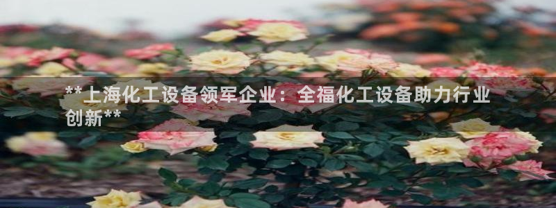 新航娱乐有限公司最新活动信息