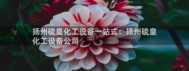 新航娱乐app最新版本更新内容在哪里
