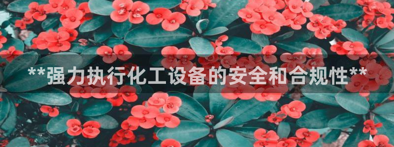 新航娱乐安卓版下载