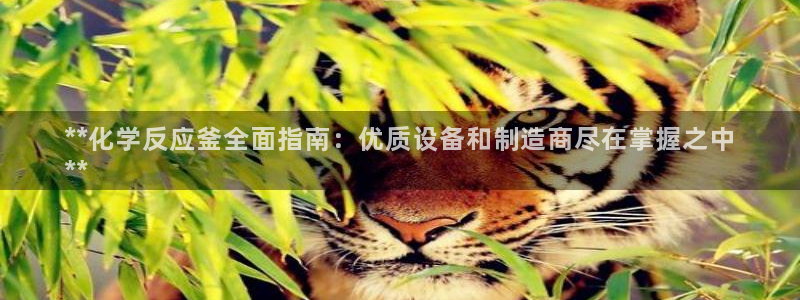 新航娱乐平台最新版本更新内容