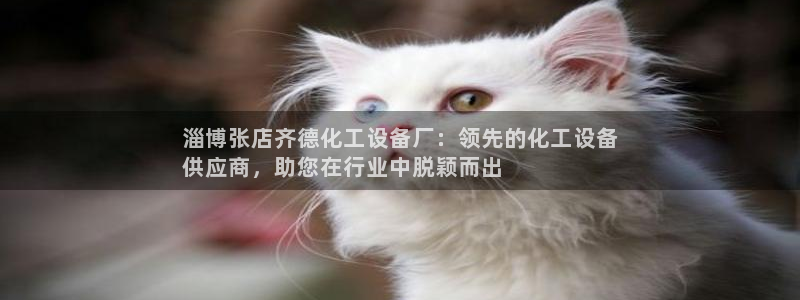 新航娱乐挂机.直开.中国(官方下载)