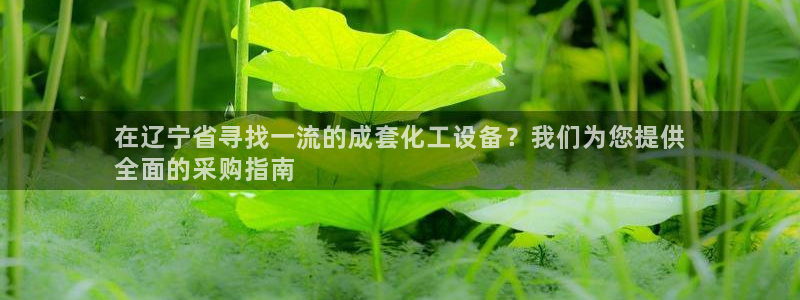 新航娱乐公司简介和历史背景分析
