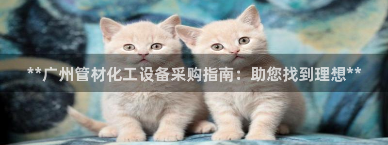 新航娱乐的创始人简介