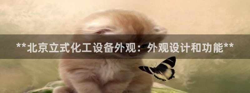 新航娱乐的创始人背景