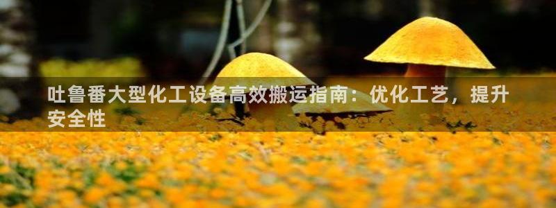 新航娱乐的创始人背景介绍