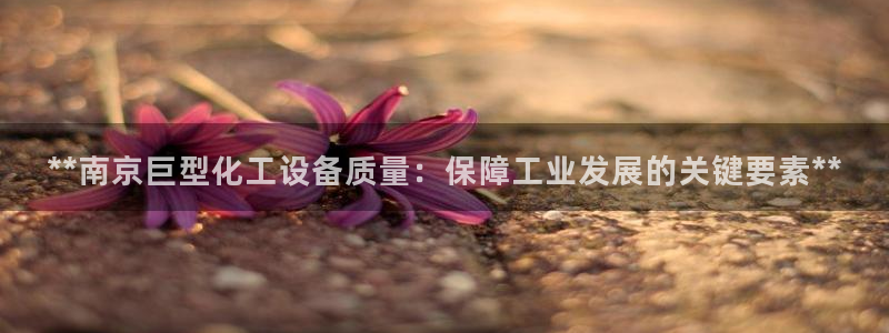 新航娱乐公司简介和历史背景