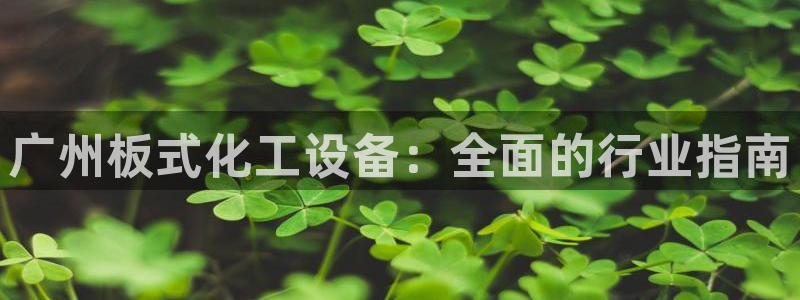 新航娱乐公司扣费流程详解