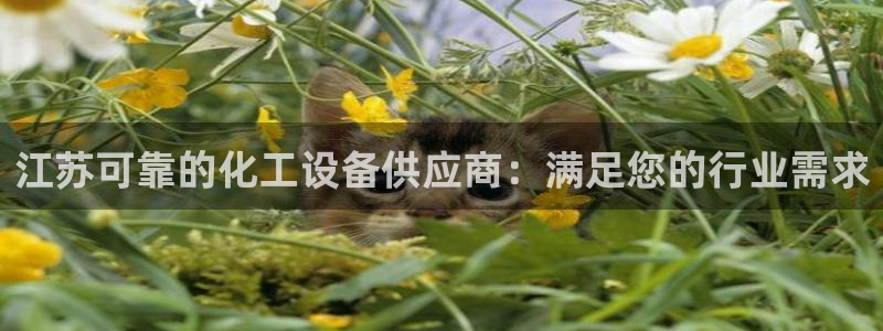 新航娱乐注册平台