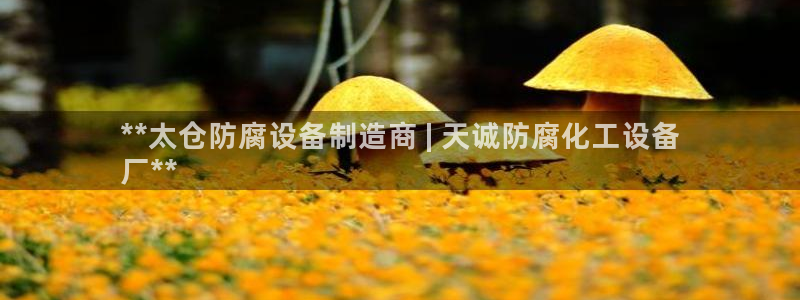 新航娱乐皮皮虾
