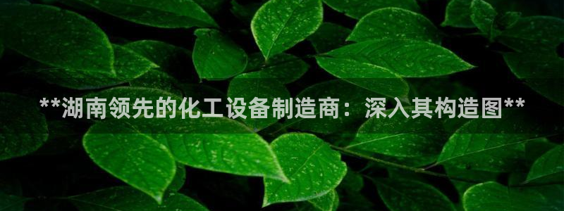 新航娱乐app的最新版本更新内容