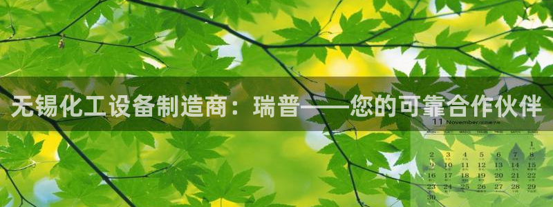 新航娱乐公司简介和历史背景
