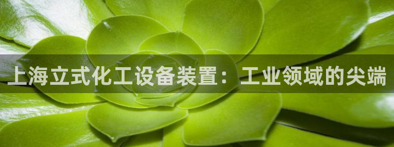 新航娱乐雀7IIII2联他是