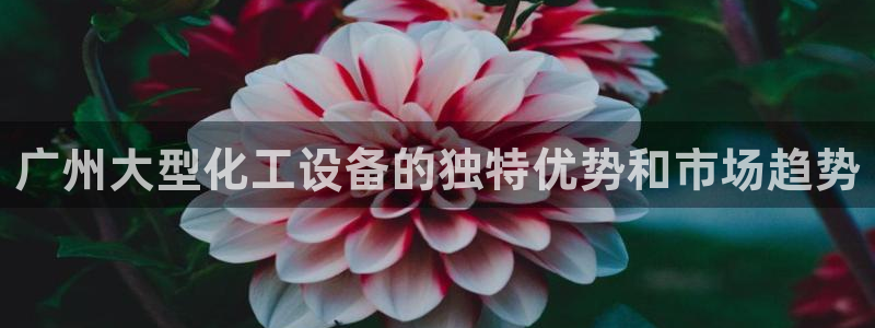 新航娱乐的背景和历史背景分析