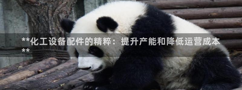 新航娱乐旗下艺人名单
