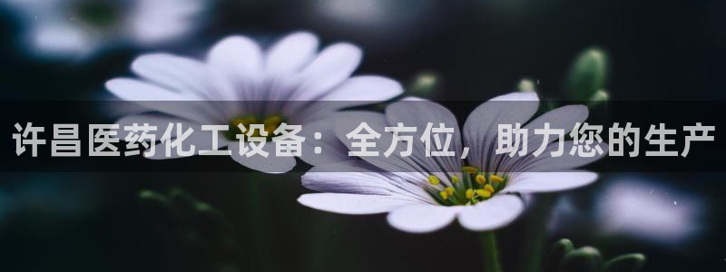 新航娱乐集团最新消息官网