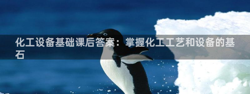 新航娱乐APP的最新版本更新内容