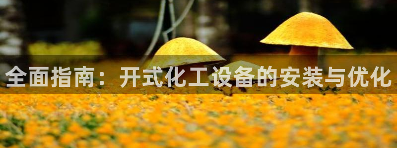 新航娱乐app最新版本更新内容是什么