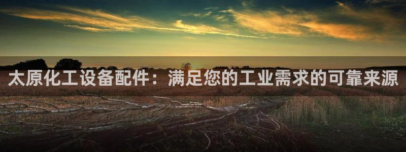 新航娱乐的创始人背景