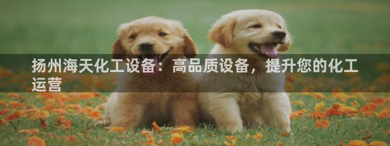 新航娱乐官网最新版本更新内容