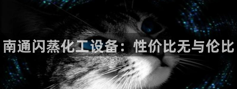 新航娱乐公司旗下艺人