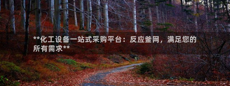 新航娱乐平台用户评价及反馈