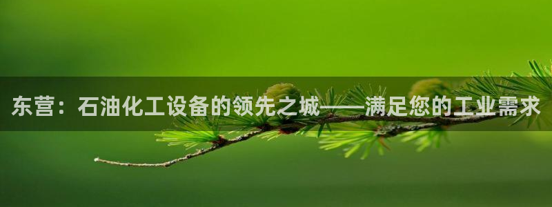 新航娱乐公司简介和历史背景怎么写