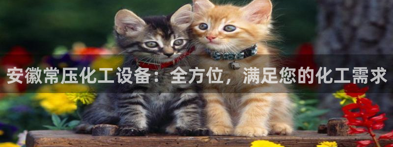 新航娱乐飞.3.3.4.8.2新航娱乐.可以吗.长久.中国
