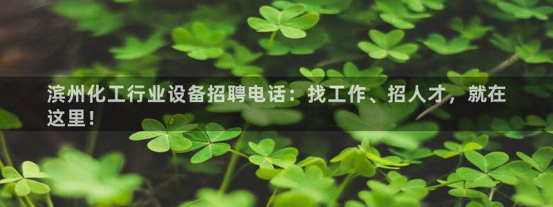 新航娱乐app手机版官网