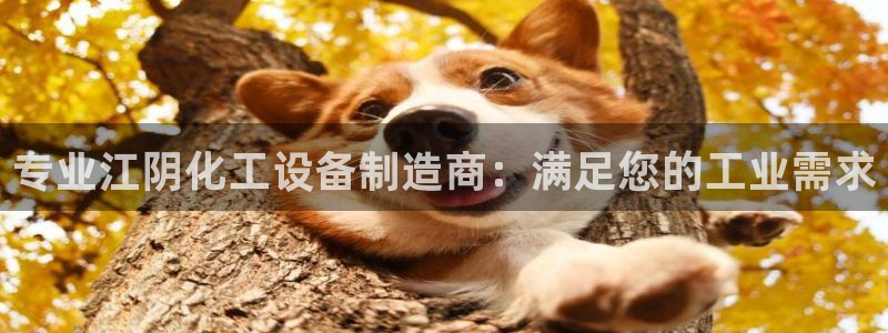 新航娱乐扣款怎么退款