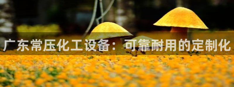 新航娱乐扣款怎么退款的