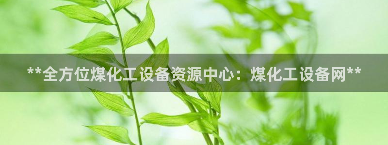 新航娱乐APP的最新版本更新内容