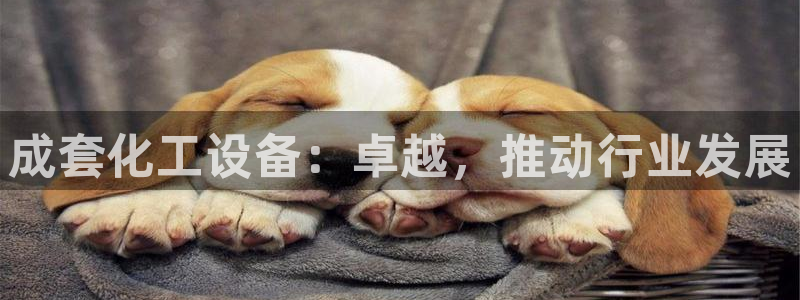 新航娱乐app最新版本更新内容在哪找