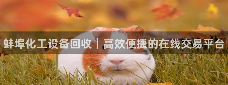 新航娱乐扣款7IIII2违反了国家法定的吗