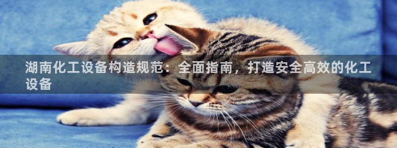 新航娱乐app最新版本更新内容在哪