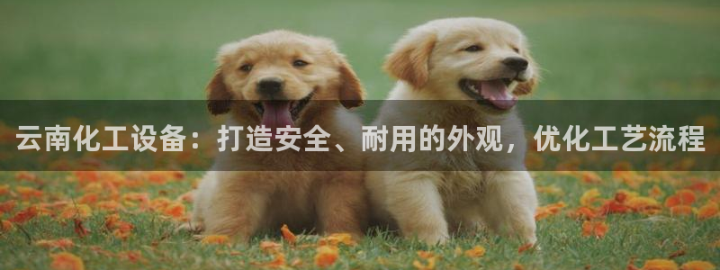 新航娱乐APP的最新版本更新内容