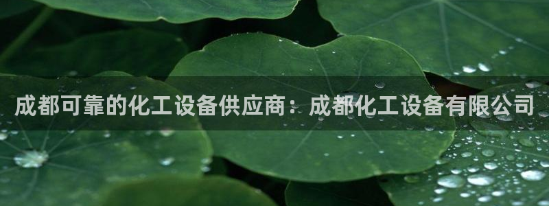 新航娱乐的员工工资福利及待遇