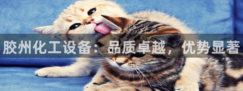 新航娱乐的创始人是谁呀