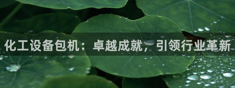 新航娱乐的创始人背景是谁