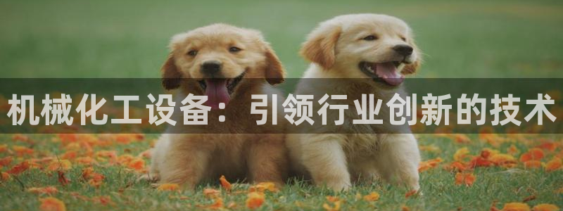 新航娱乐飞.3.3.4.8.2新航娱乐.可以吗.长久.中国