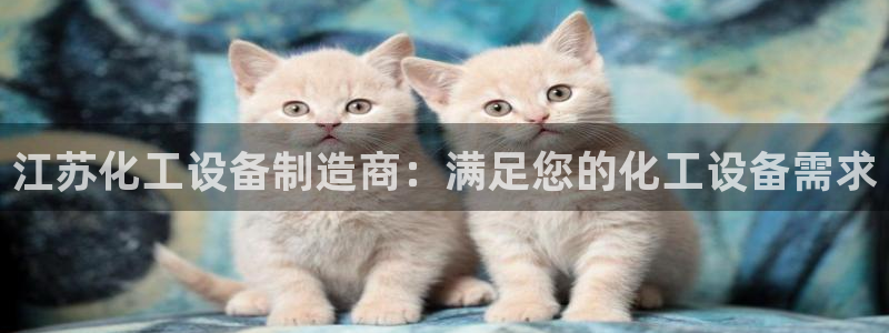 新航娱乐平台用户评价及反馈