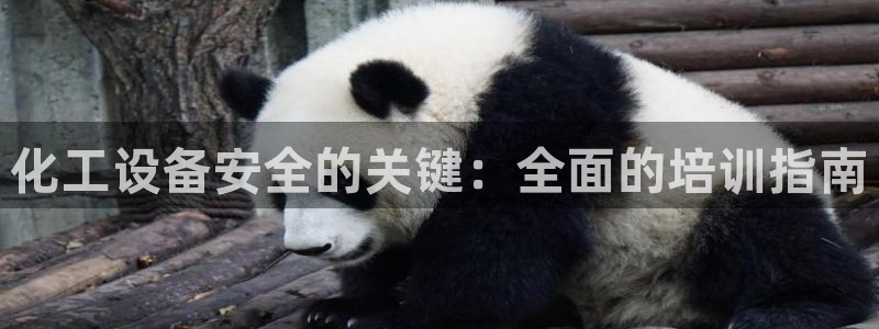 新航娱乐的股东名单和背景介绍是什么